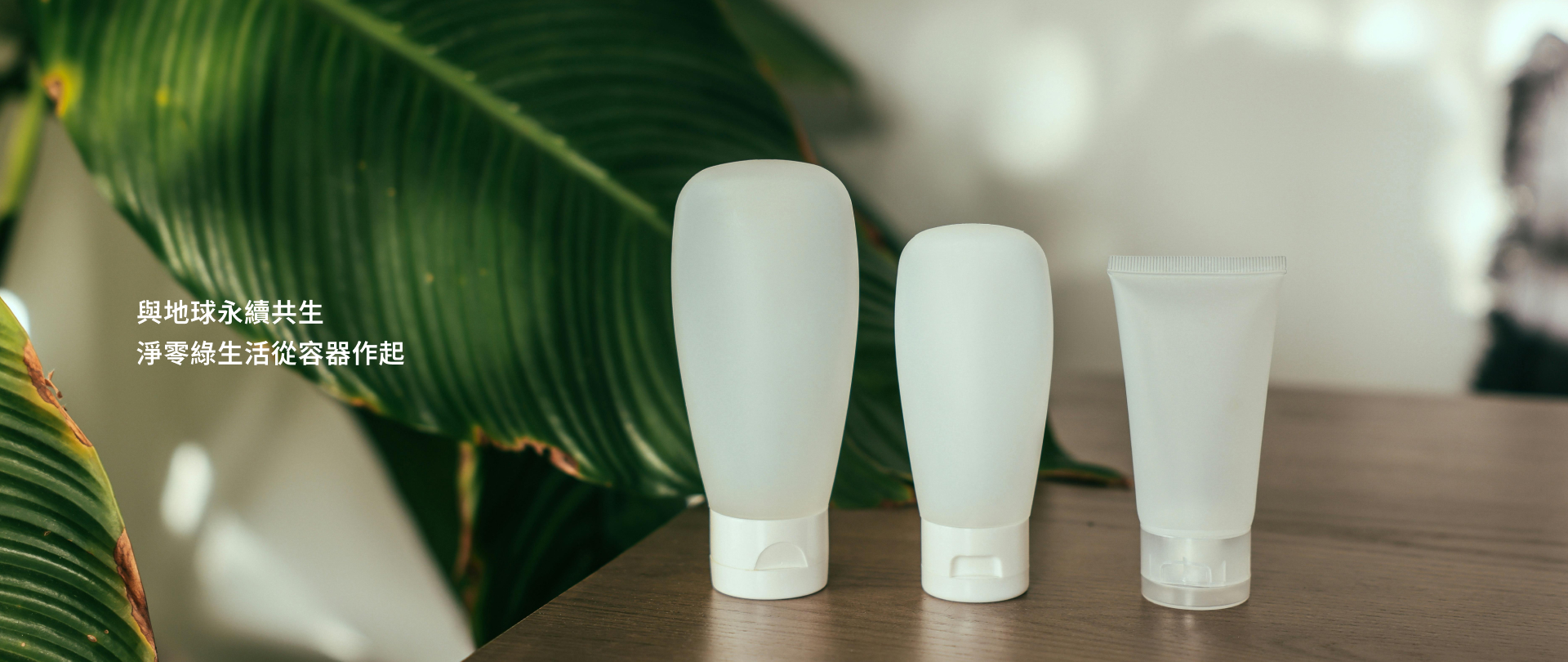 永續網初始主視覺03